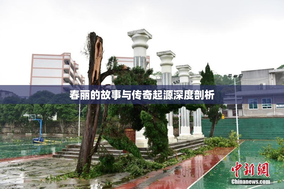 春丽的故事与传奇起源深度剖析