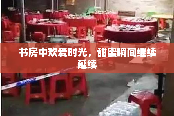 书房中欢爱时光，甜蜜瞬间继续延续