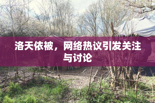 洛天依被，网络热议引发关注与讨论