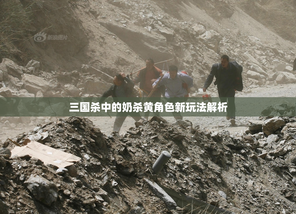 三国杀中的奶杀黄角色新玩法解析