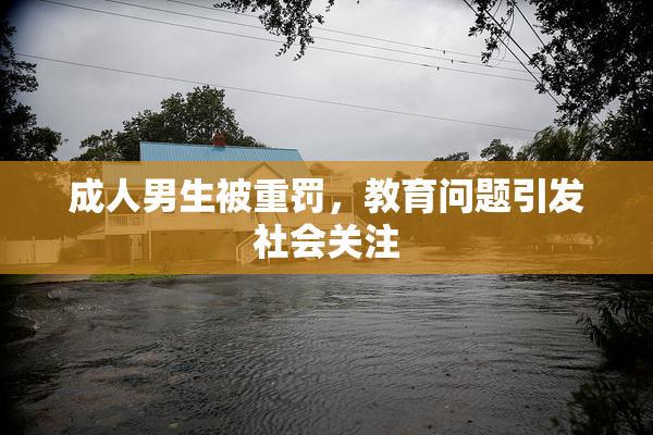 成人男生被重罚，教育问题引发社会关注
