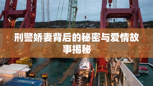 刑警娇妻背后的秘密与爱情故事揭秘