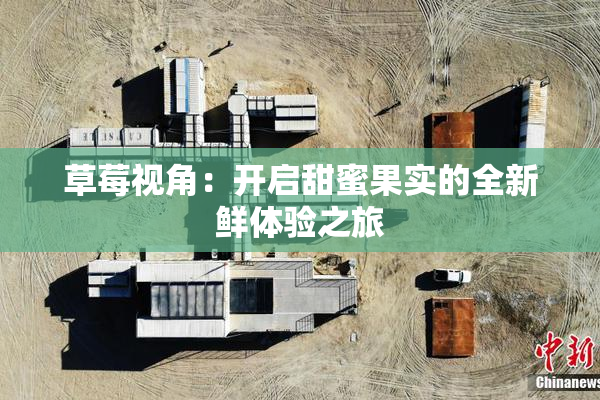 草莓视角：开启甜蜜果实的全新鲜体验之旅