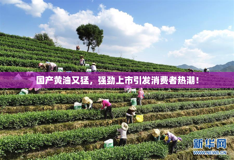 国产黄油又猛，强劲上市引发消费者热潮！