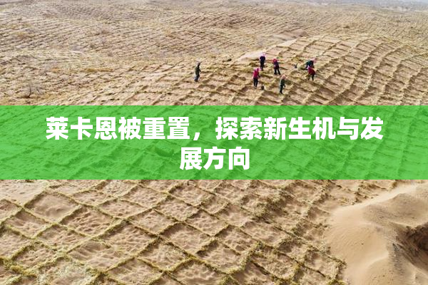 莱卡恩被重置，探索新生机与发展方向