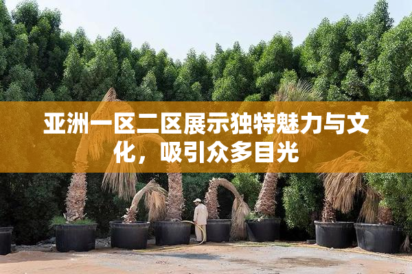 亚洲一区二区展示独特魅力与文化，吸引众多目光