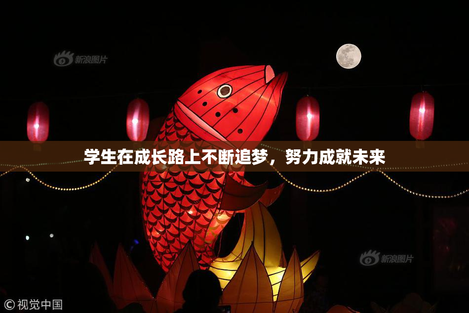 学生在成长路上不断追梦，努力成就未来
