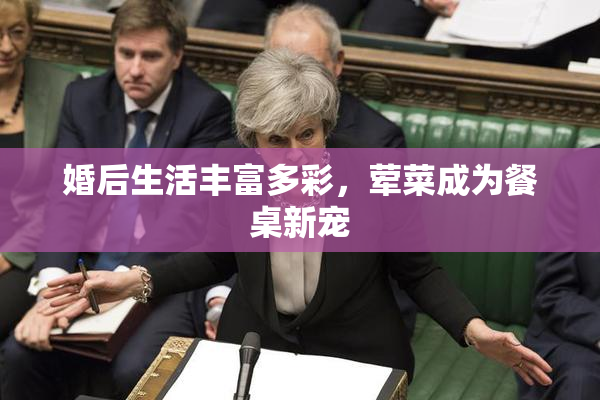 婚后生活丰富多彩，荤菜成为餐桌新宠