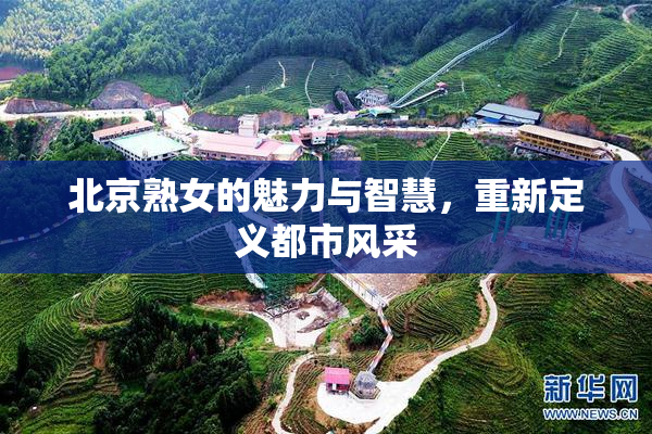 北京熟女的魅力与智慧，重新定义都市风采