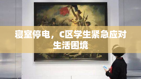 寝室停电，C区学生紧急应对生活困境
