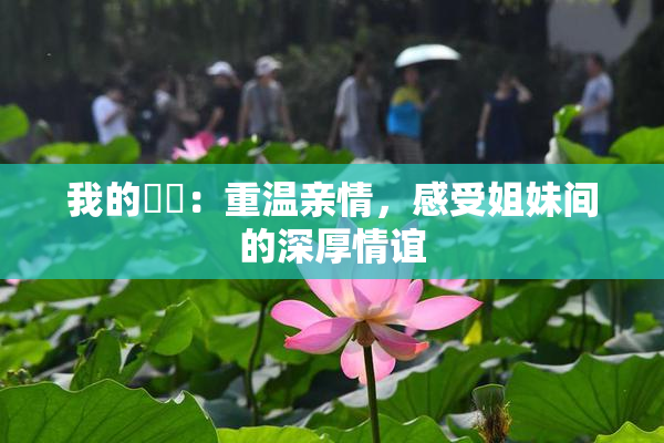 我的妺妺：重温亲情，感受姐妹间的深厚情谊