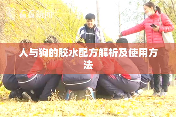 人与狗的胶水配方解析及使用方法