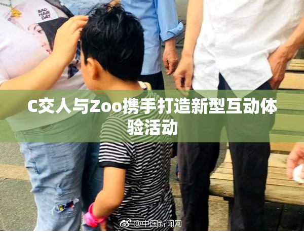C交人与Zoo携手打造新型互动体验活动