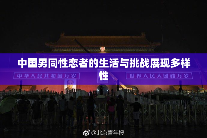 中国男同性恋者的生活与挑战展现多样性
