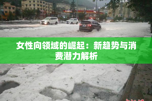 女性向领域的崛起：新趋势与消费潜力解析