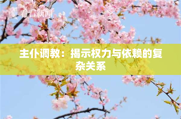 主仆调教：揭示权力与依赖的复杂关系