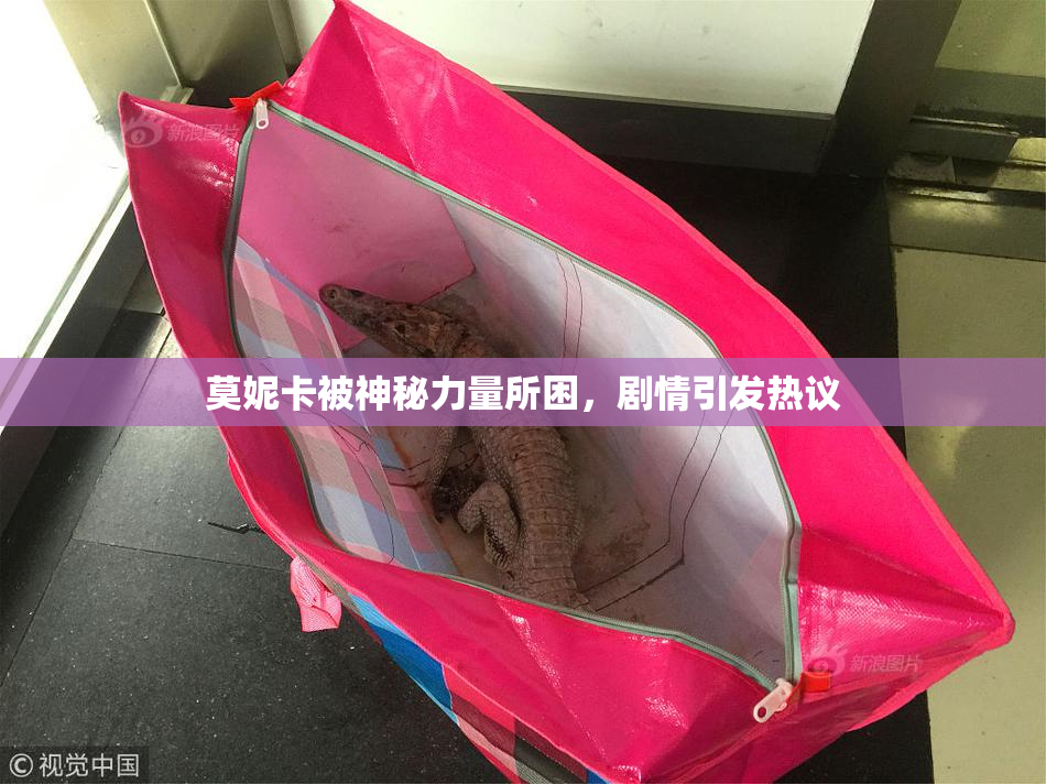 莫妮卡被神秘力量所困，剧情引发热议