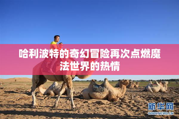 哈利波特的奇幻冒险再次点燃魔法世界的热情