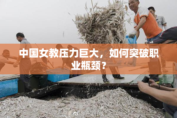 中国女教压力巨大，如何突破职业瓶颈？