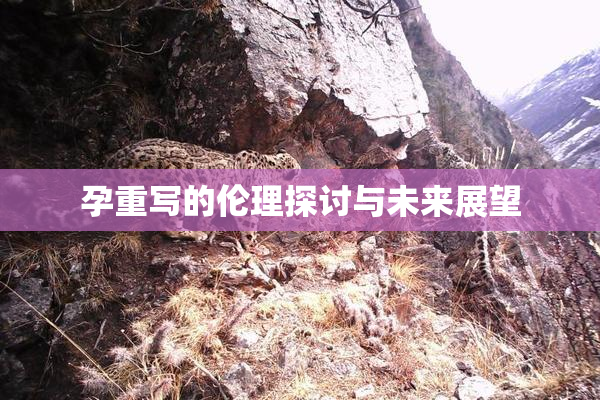 孕重写的伦理探讨与未来展望