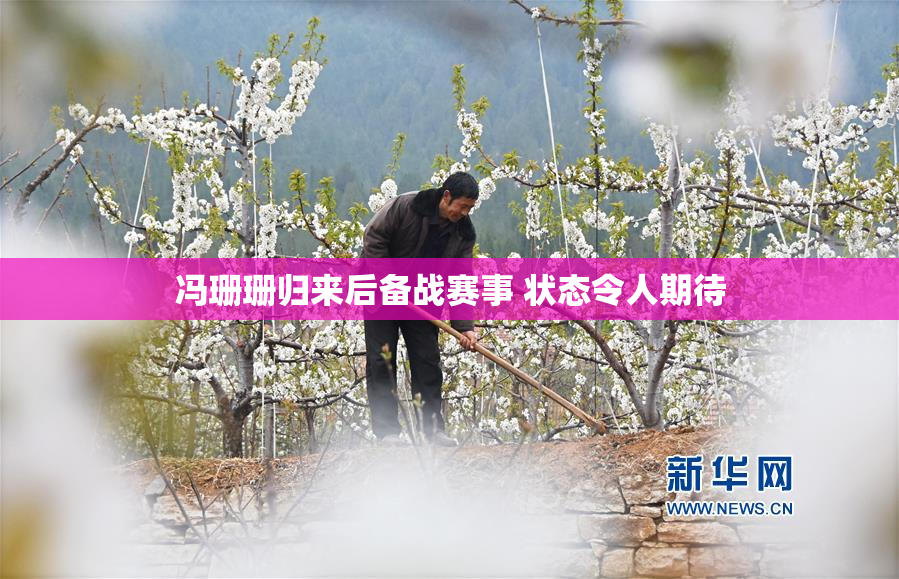 冯珊珊归来后备战赛事 状态令人期待
