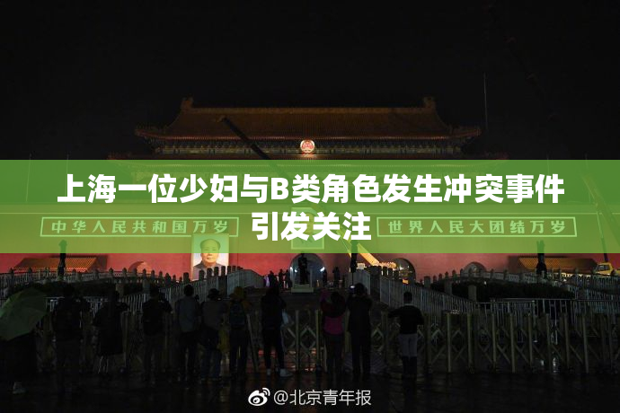 上海一位少妇与B类角色发生冲突事件引发关注