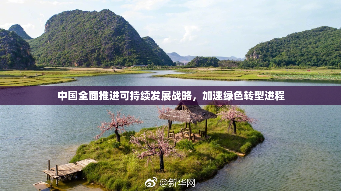 中国全面推进可持续发展战略，加速绿色转型进程
