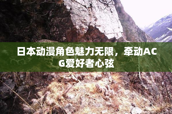 日本动漫角色魅力无限，牵动ACG爱好者心弦