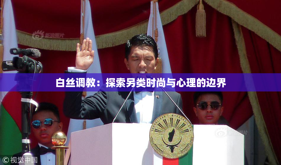 白丝调教：探索另类时尚与心理的边界