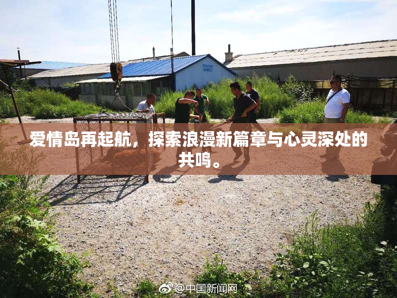 爱情岛再起航，探索浪漫新篇章与心灵深处的共鸣。