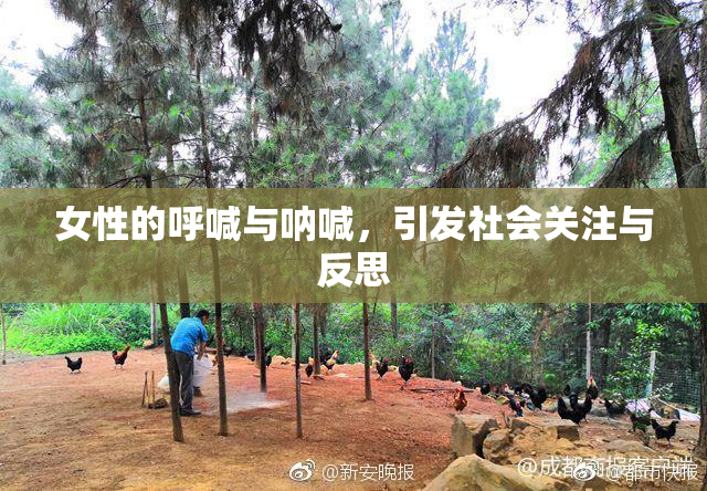 女性的呼喊与呐喊，引发社会关注与反思