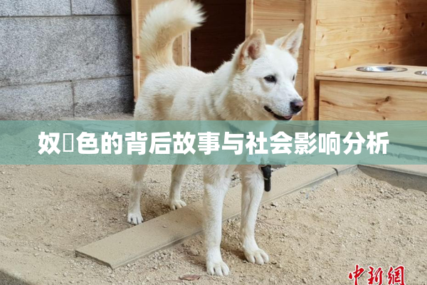 奴隷色的背后故事与社会影响分析