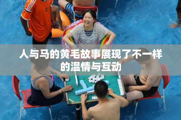 人与马的黄毛故事展现了不一样的温情与互动