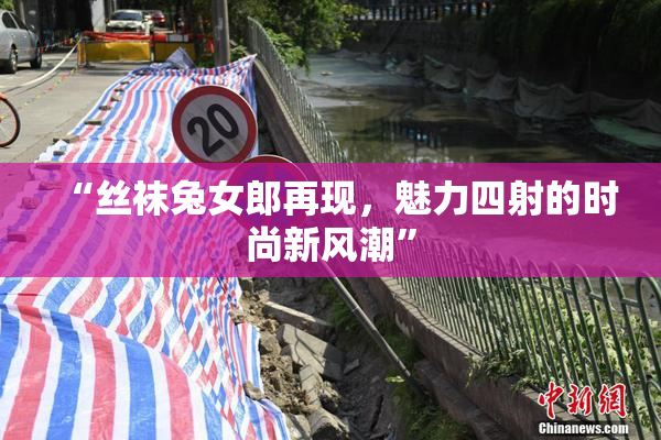 “丝袜兔女郎再现，魅力四射的时尚新风潮”