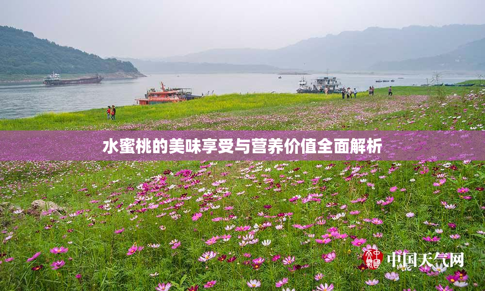水蜜桃的美味享受与营养价值全面解析