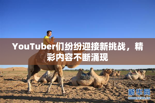 YouTuber们纷纷迎接新挑战，精彩内容不断涌现
