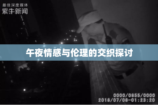 午夜情感与伦理的交织探讨