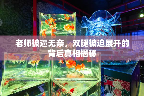 老师被逼无奈，双腿被迫展开的背后真相揭秘