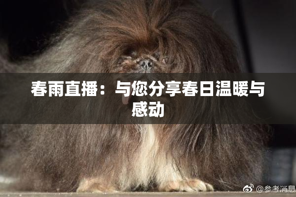 春雨直播：与您分享春日温暖与感动