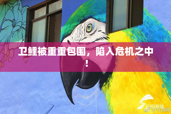 卫鲤被重重包围，陷入危机之中！