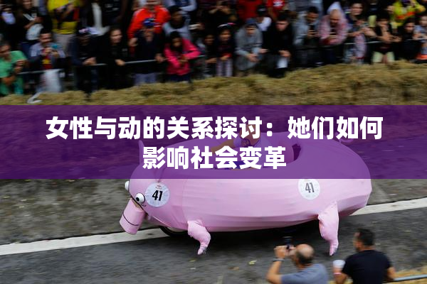 女性与动的关系探讨：她们如何影响社会变革