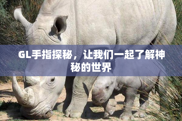 GL手指探秘，让我们一起了解神秘的世界