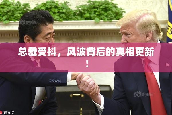 总裁受抖，风波背后的真相更新！