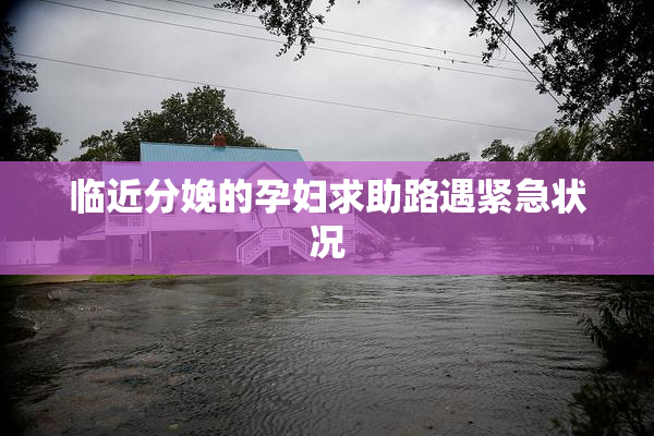 临近分娩的孕妇求助路遇紧急状况