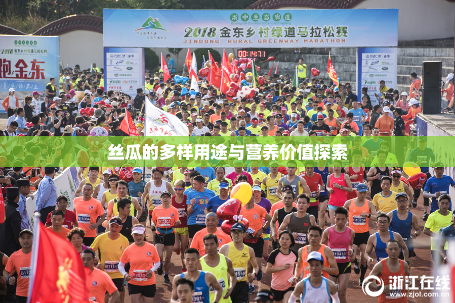 丝瓜的多样用途与营养价值探索