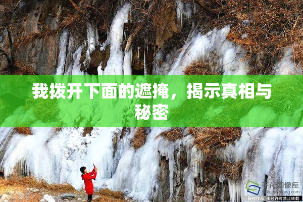 我拨开下面的遮掩，揭示真相与秘密