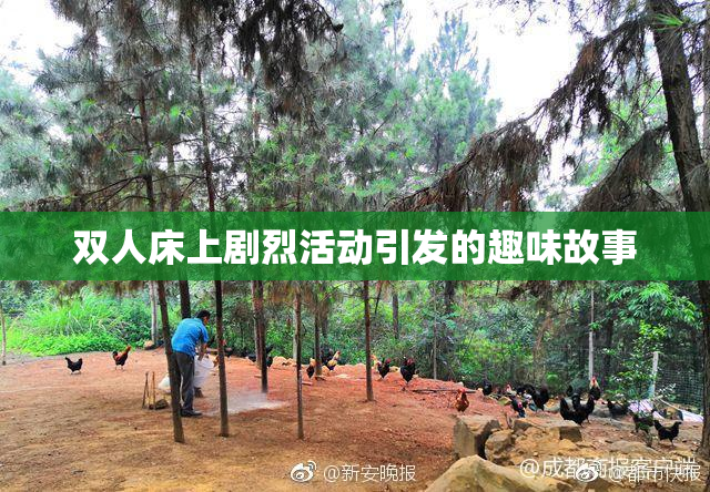 双人床上剧烈活动引发的趣味故事
