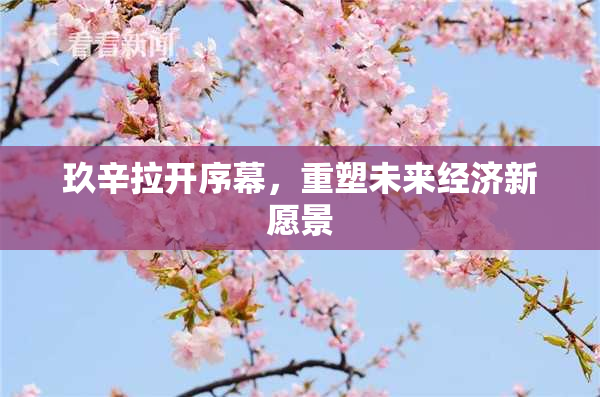 玖辛拉开序幕，重塑未来经济新愿景