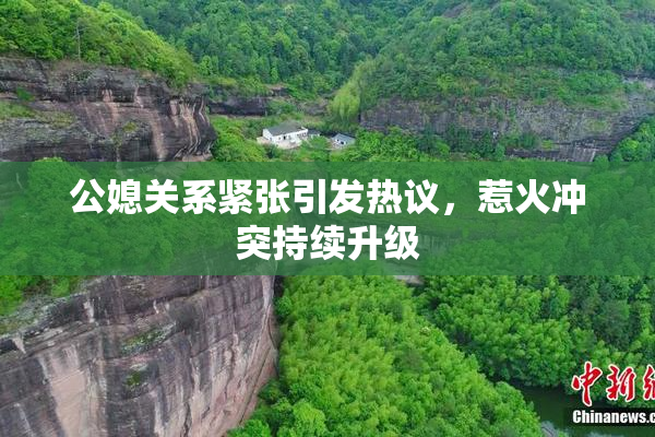 公媳关系紧张引发热议，惹火冲突持续升级
