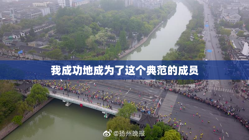 我成功地成为了这个典范的成员